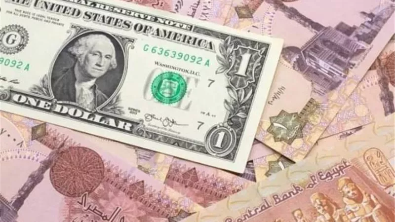 الدولار يحافظ على استقراره مقابل الجنيه المصرى بداية التعاملات الأسبوعية