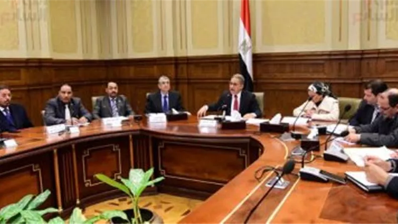 رانيا المشاط : 15% نسبة المنح التنموية من إجمالي التمويلات في عام 2021 جزء منها للقطاع الخاص