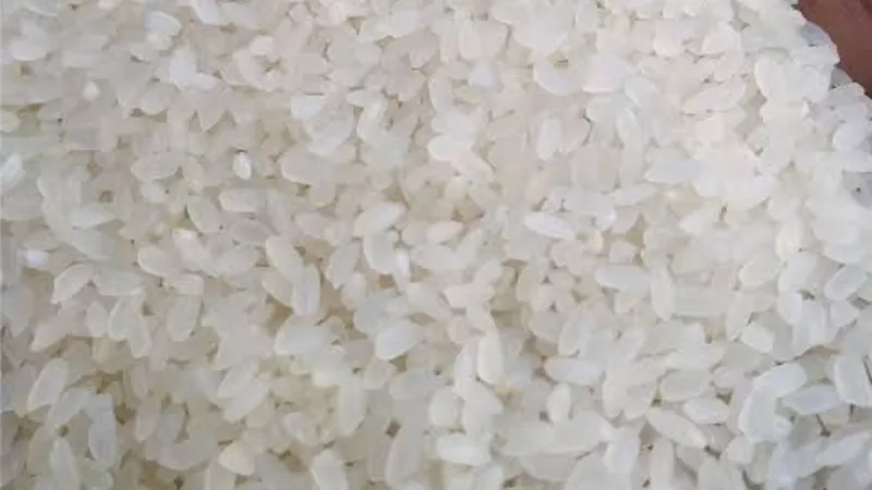 هبوط كبير في الأسعار .. طن الأرز ينخفض ألف جنيه والزيت 700 جنيه .. فيديو