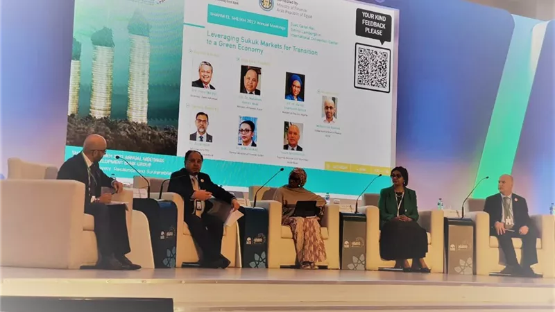 وزير المالية: الحكومة تدرس إصدار أول طرح للصكوك السيادية خلال الفترة المقبلة