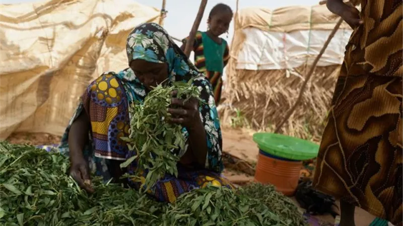 صندوق الأوبك للتنمية الدولية يخصص مليار دولار أمريكي للأمن الغذائي العالمي