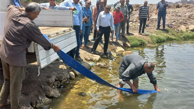 إلقاء 500 ألف ذريعة سمكية من السمك البلطي بفرع النيل بميت غمر