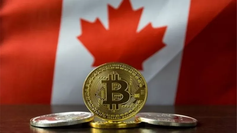 صندوق كندي يستثمر 5 مليارات دولار في أصول موانئ دبي