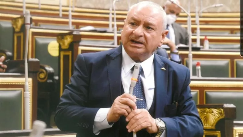 محمد أبو زيد يثير أزمة تعطيل الإجراءات أمام المحاكم.. ويطالب وزير العدل بالتدخل
