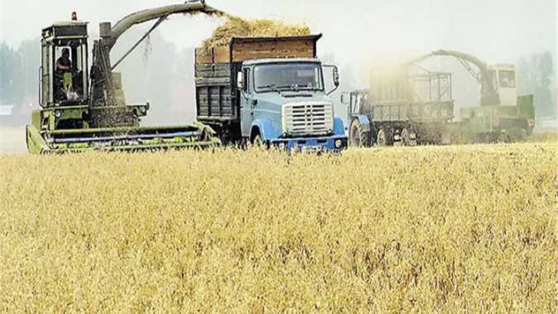 أزمة الغذاء تتسع .. وإيطاليا تحذر من 