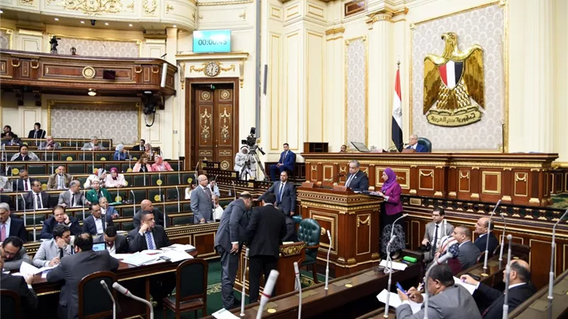 وزير شئون المجالس النيابية: الحكومة أرسلت ردها إلى المجلس بشأن ما يحدث في شركة الكوك بعد اعلان تصفيتها