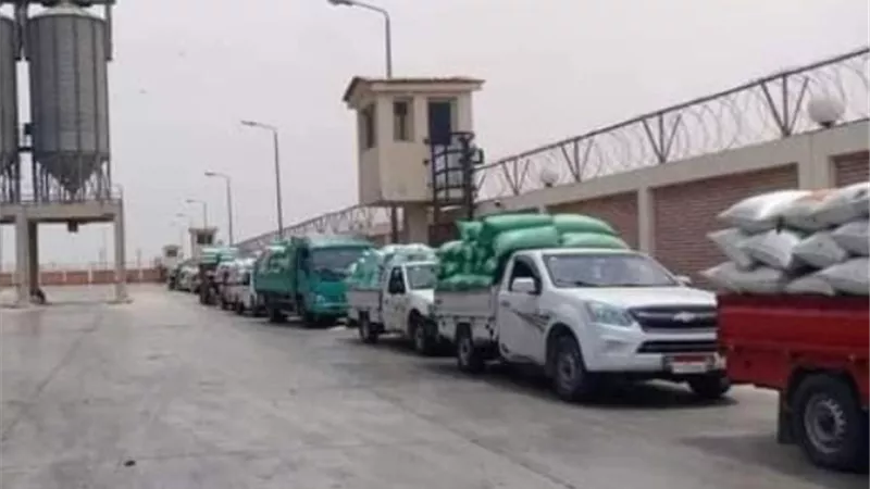 مطاردة المزارعين المتهربين من توريد القمح بالإسماعيلية