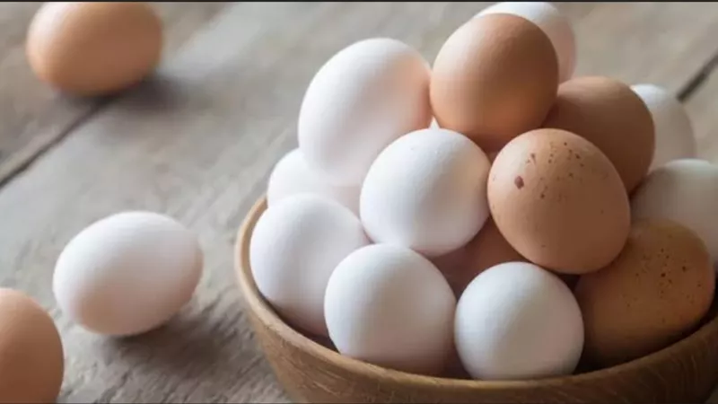 دراسة توضح تأثير البيض على مستوى الكوليسترول بالدم