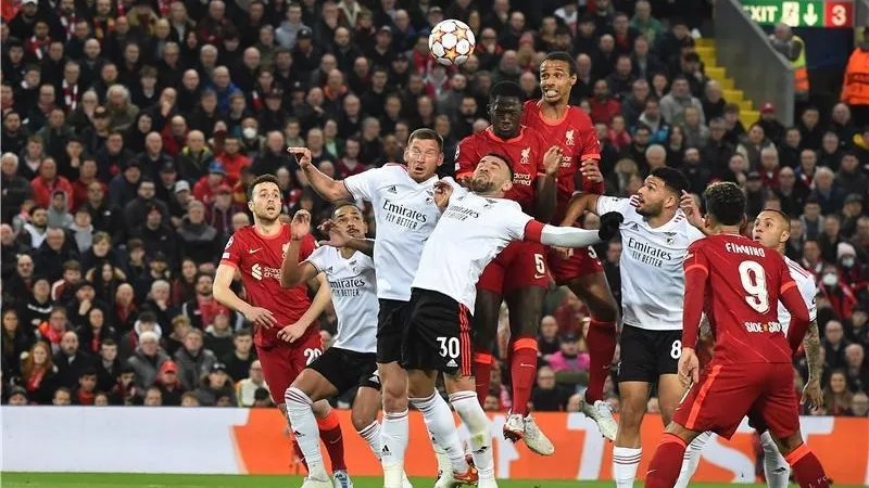 ليفربول يعرض 80 مليون يورو للتعاقد مع لاعب بنفيكا البرتغالى