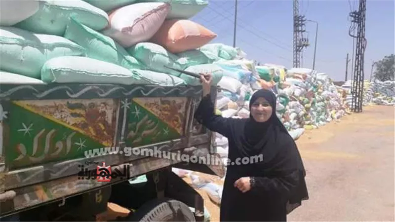 محافظ الشرقية : إستقبال ٦١٨٥٤٠ طنا من الذهب الأصفر بالشون والصوامع