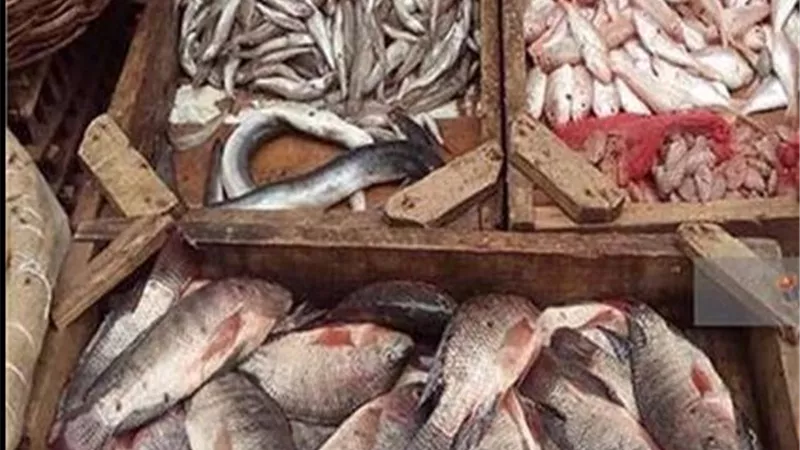 ضبط ١٤٠ كجم جمبري غير صالح للاستخدام الادمي بمطعم شهير بحدائق الاهرام