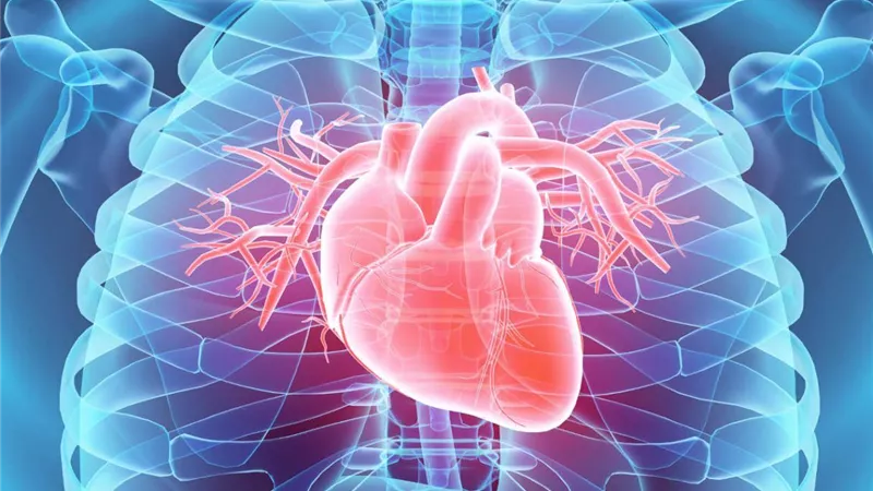 مادة هلامية تجدد خلايا القلب وتصلحها.. علماء يكشفون