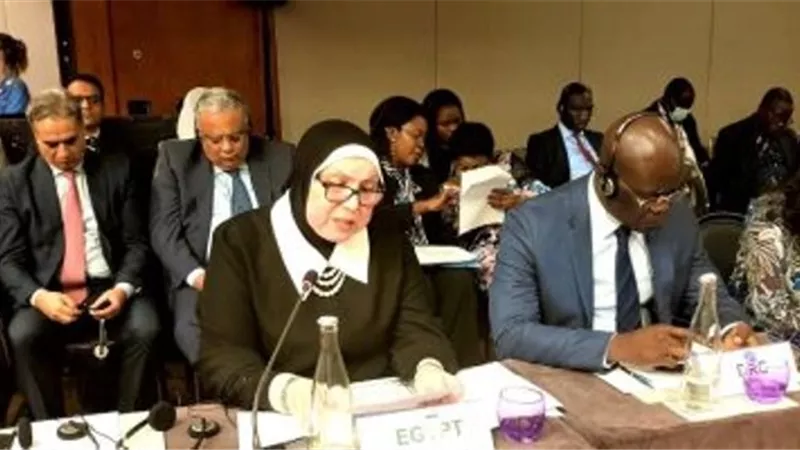 نيفين جامع: حريصون على تعزيز جهود دول إفريقيا لمواجهة التحديات الاقتصادية