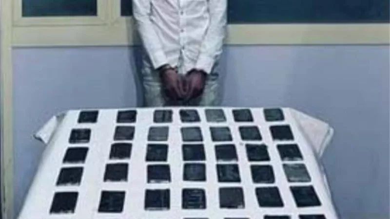 ب3 ملايين جنيه.. ضبط 425 طربة حشيش بحوزة 7 عناصر إجرامية في الإسكندرية