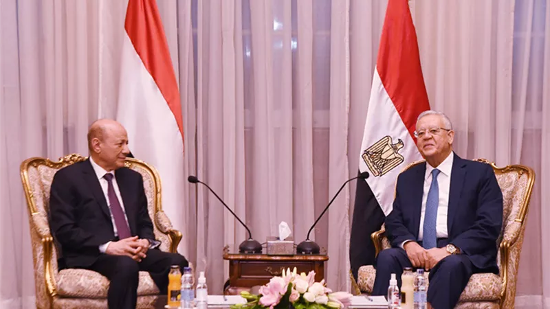 جبالى يستقبل رئيس مجلس القيادة الرئاسي اليمني