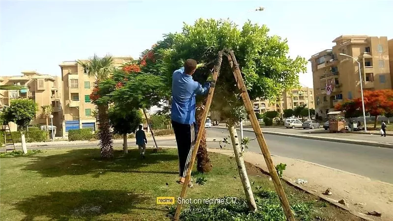 جهاز ٦ أكتوبر :تكثيف المسطحات الخضراء والمزروعات وتجميل كافة الاحياء
