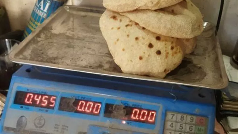 ضبط 8 طن أسماك منتهية الصلاحية في الإسماعيلية..صور