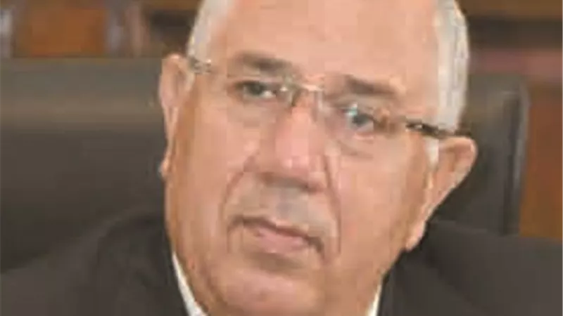 وزير الزراعة للبرلمان: قريباً.. عن المشروعات الزراعية في سيناء