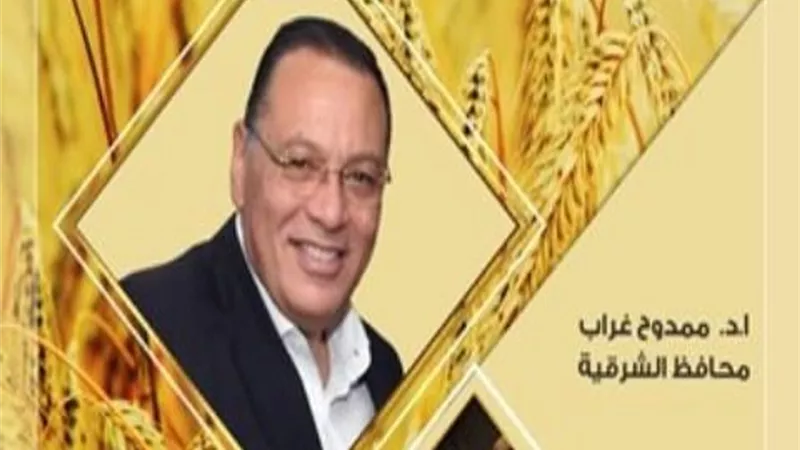 إقبال متزايد من التجار والمزارعين علي توريد القمح بمحافظة الشرقية
