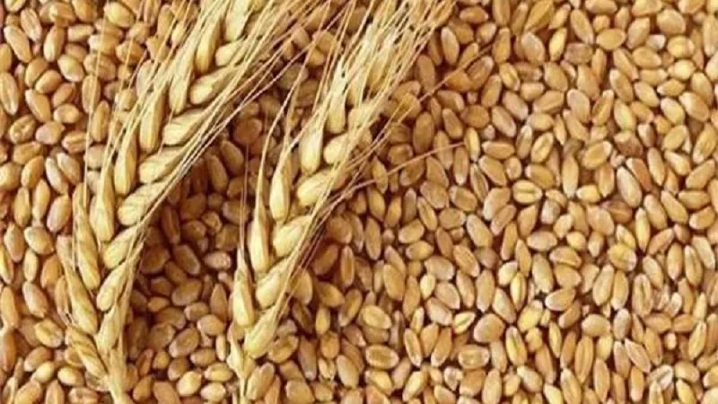 جونسون يعرب عن أمله في إحراز تقدم بشأن قضية صادرات الحبوب الأوكرانية