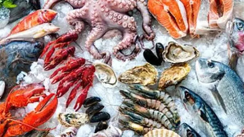 أسعار السمك اليوم الخميس 16-6-2022