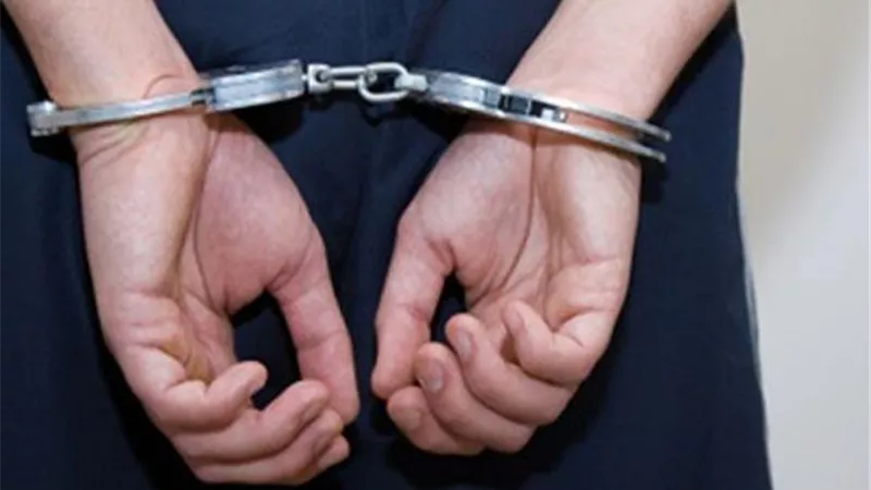 صاحب شركة هارب من 156 سنة حبس