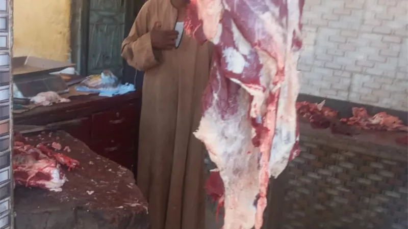 ضبط ٧٠ كيلو لحومة متنوعة وتحرير ٧ محاضر فى حملة للطب البيطرى بإسنا جنوب الأقصر