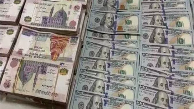 14 مليون جنيه فى مغسلة المخدرات