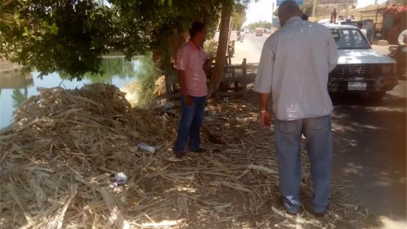 حملات للقضاء على العشوائيات وتحسين البيئة بالأقصر