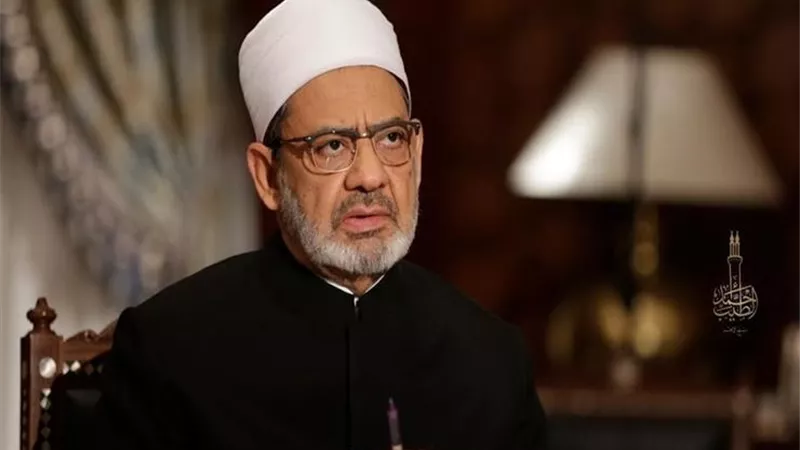 شيخ الأزهر يشدد على ضرورة وضع الضمانات المناسبة لاحترام مقدسات المسلمين