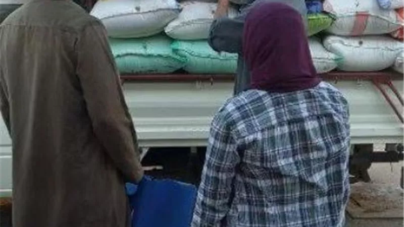 شون وصوامع الشرقية تستقبل ٦٢٥٠٧٣ طنا و٤٤٢ كيلو من الذهب الاصفر