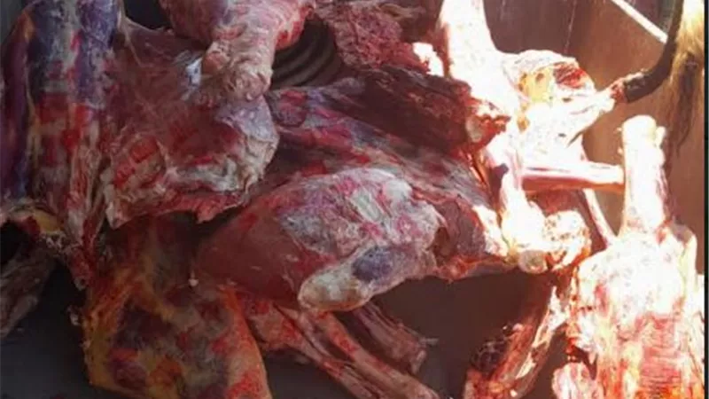 ضبط 34 طن لحوم وجبن غير صالحة واحتكار 25 طن حبوب متنوعة بثلاجة بفوه
