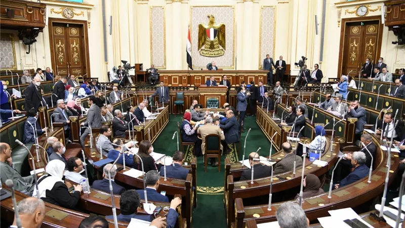 عضو تنسيقية الأحزاب تقترح دمج جميع الهيئات الاقتصادية فى هيئة واحدة