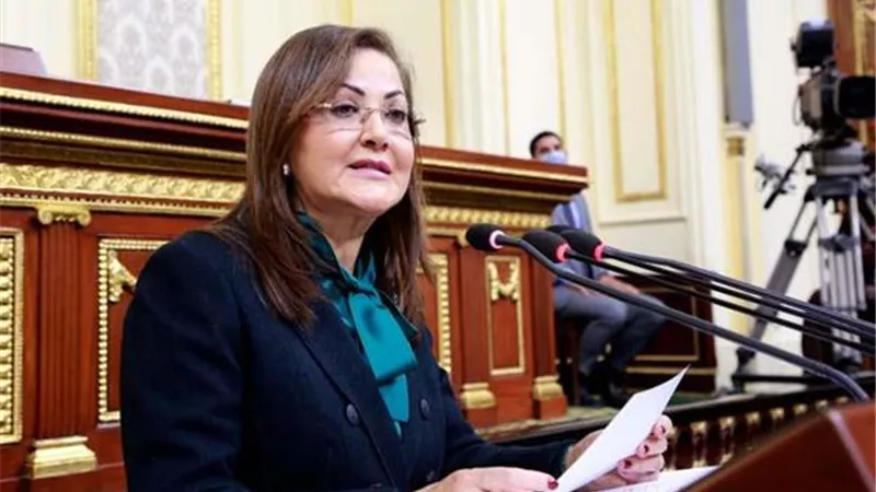 وزيرة التخطيط تشدد على تكاتف مؤسسات الدولة لعبور الأزمة الاقتصادية