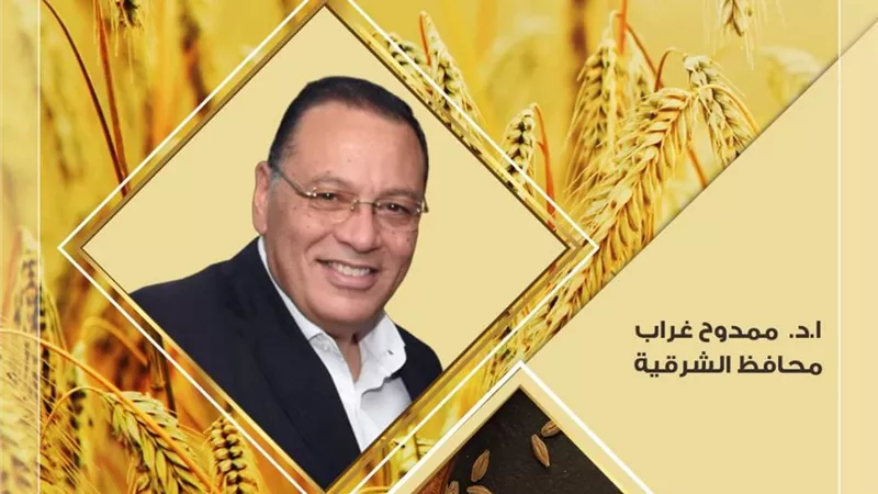 استمرار توافد حبوب القمح الذهبية لشون وصوامع الشرقية