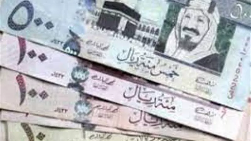 سعر الريال السعودى اليوم الاثنين 20-6-2022