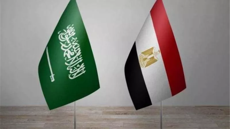 الإحصاء تعلن: 62.1 % ارتفاعًا في قيمة التبادل التجاري بين مصر والسعودية خلال عام 2021
