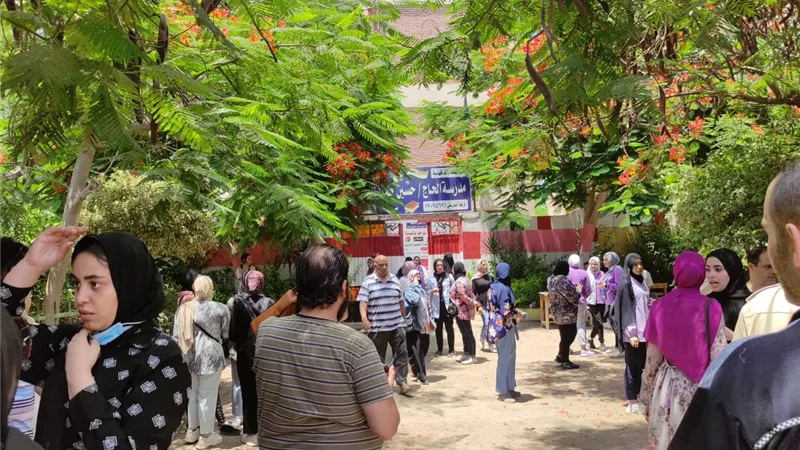الاقتصاد في مستوى الطالب المتوسط والإحصاء للمتميزين