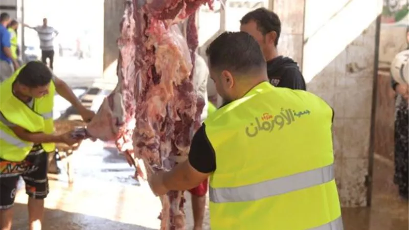 التضامن الاجتماعى وجمعية الاورمان بالمنيا تطلقان مبادرة 