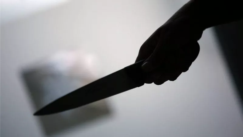 القبض على شاب قتل والدته وشقيقه بسبب خلافات على الميراث فى المطرية