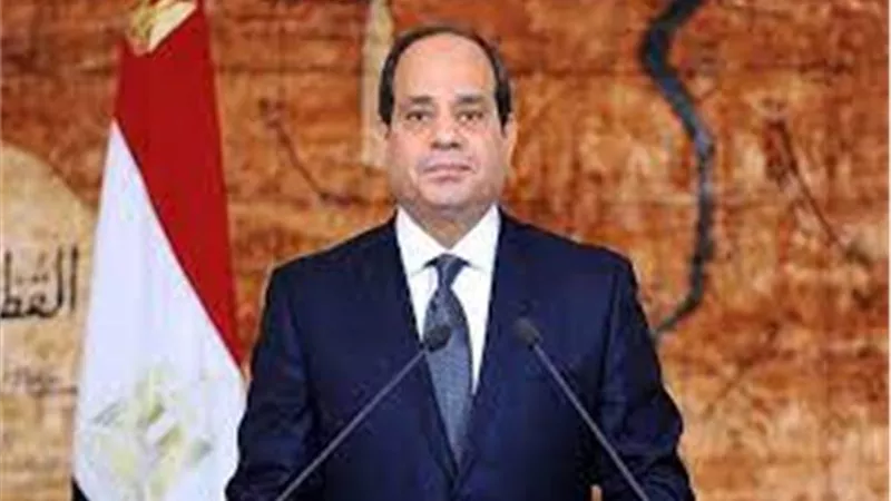 السيسى: التوترات المتزايدة بالمجتمع الدولى تنعكس على الأمن الغذائى والطاقة فى افريقيا