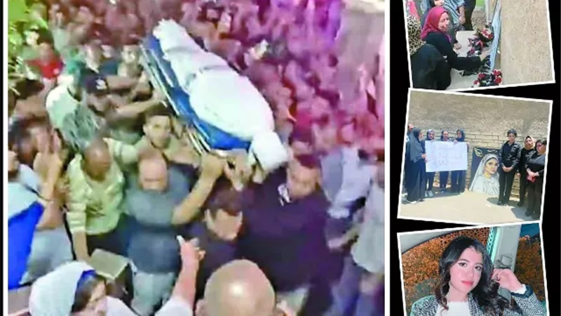 النيابة وجهت تهمة القتل العمد لقاتل طالبة المنصورة