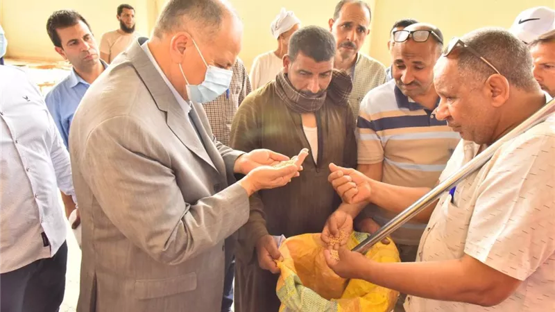 محافظ أسيوط يعلن عن توريد167 ألف طن قمح محلي إلى 30 شونة وصومعة بالمراكز حتى الآن