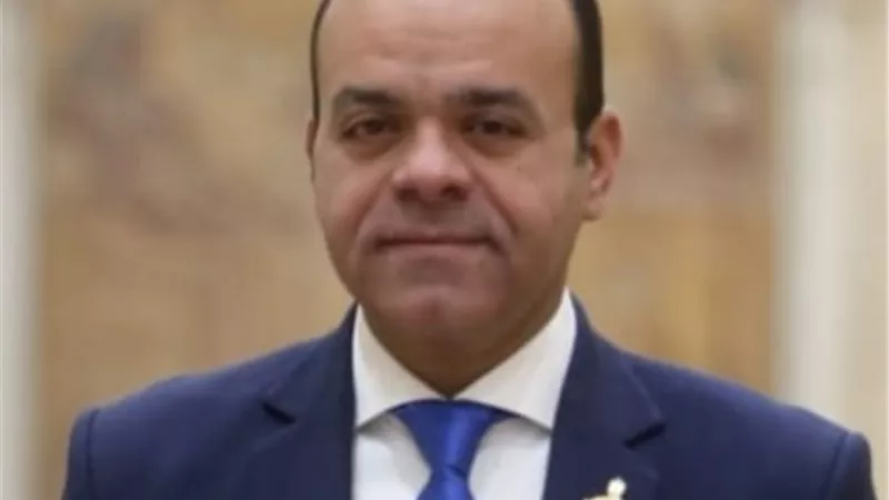 برلماني: تغير المناخ أمن قومي عالمي.. واستضافة مصر للقمة القادمة تأكيد على مكانتها الدولية