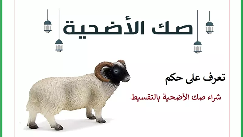 حكم شراء صك الأضحية بالتقسيط؟ تعرف على الإجابة