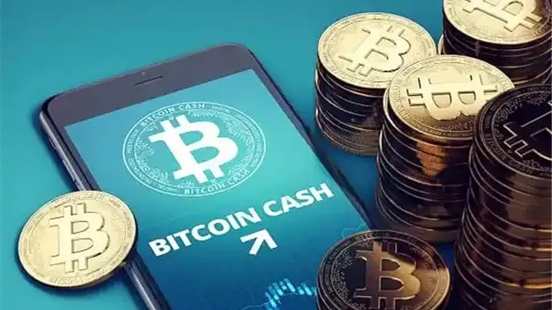 ضبط شخص لترويجه وتداوله العملات المشفرة 