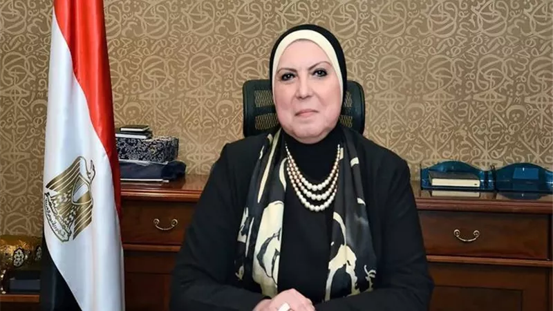 40 مليار جنيه لتمويل المشروعات الصغيرة خلال 8 سنوات