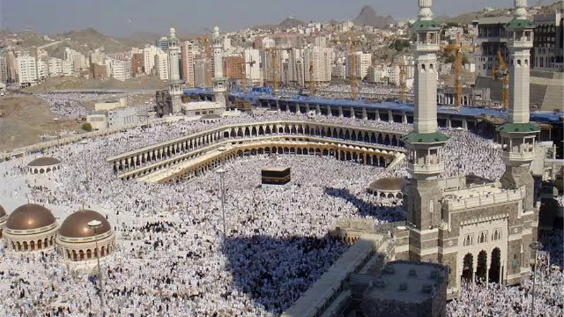 3 مكاتب طوافه للحج السياحى الإقتصادي وخدمات غير مسبوقة بالفنادق والمخيمات الحرمين