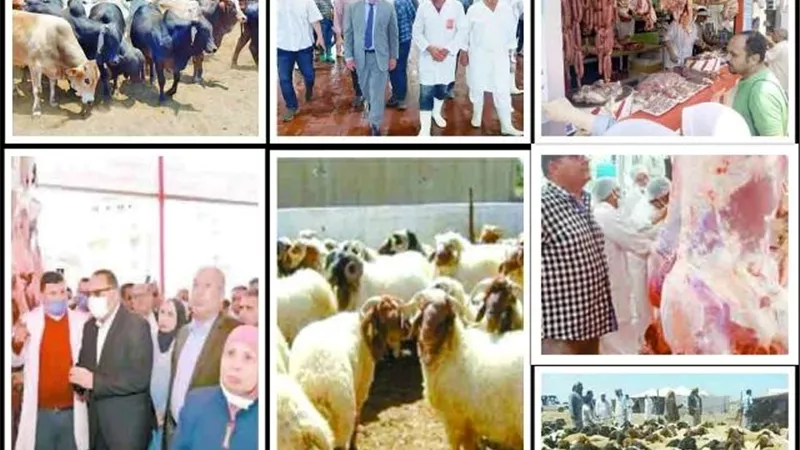 المحافظات جاهزة للعيد.. والكل سعيد