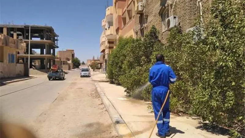 استمرار حملات مكافحة القوارض والزواحف بمدن البحرالأحمر